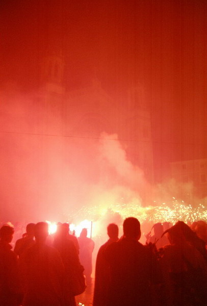 cfoc12003_resize.jpg