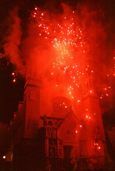 cfoc1401_resize.jpg