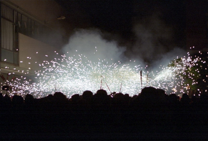 cfoc0206_resize.jpg