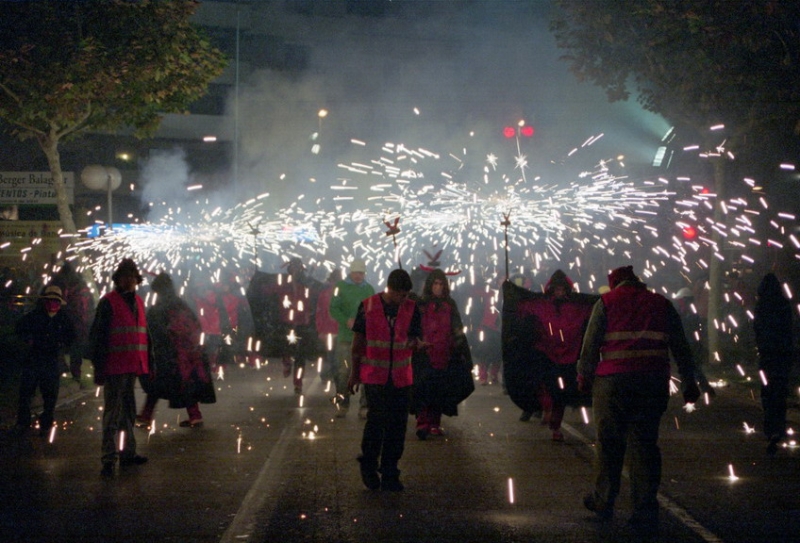 cfoc0401_resize.jpg