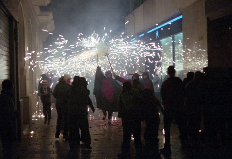 cfoc0501_resize.jpg