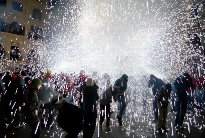 cfoc0604_resize.jpg