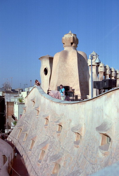 Pedr1101_resize.jpg
