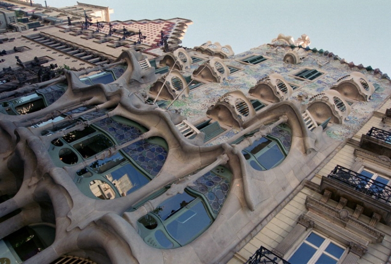 Pedr0306_resize.jpg