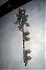 Pedr0104_resize.jpg