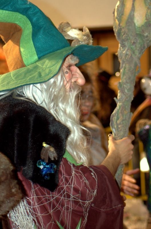 CarnavalSitges2011_1917.jpg
