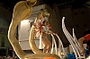 CarnavalSitges2011_2311.jpg