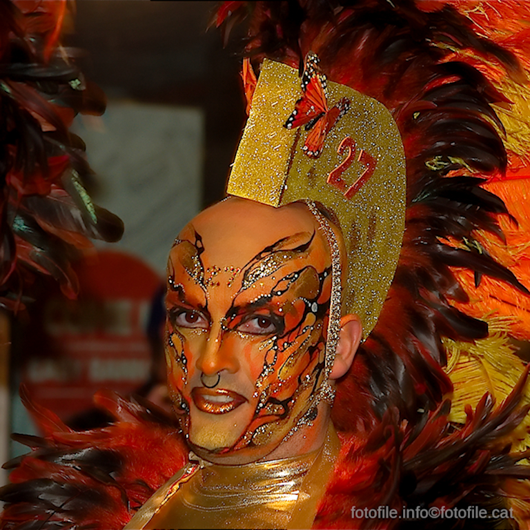 Carnaval 2014 Sitges - Rua de l'Extermini
Carnaval 2014 Sitges - Rua de l'Extermini
Keywords: Carnaval 2014 Sitges - Rua de l'Extermini