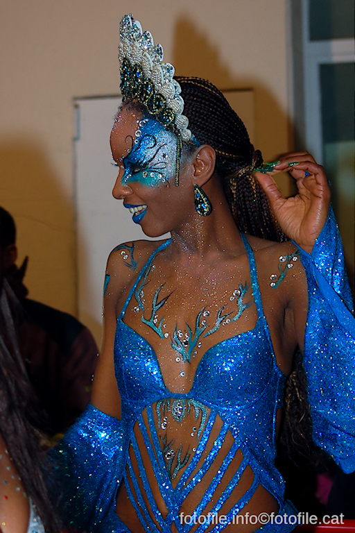 Carnaval 2014 Sitges - Rua de l'Extermini
Carnaval 2014 Sitges - Rua de l'Extermini
Keywords: Carnaval 2014 Sitges - Rua de l'Extermini