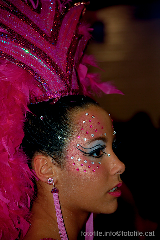 Carnaval 2014 Sitges - Rua de l'Extermini
Carnaval 2014 Sitges - Rua de l'Extermini
Keywords: Carnaval 2014 Sitges - Rua de l'Extermini