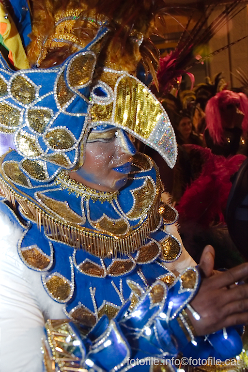 Carnaval 2014 Sitges - Rua de l'Extermini
Carnaval 2014 Sitges - Rua de l'Extermini
Keywords: Carnaval 2014 Sitges - Rua de l'Extermini