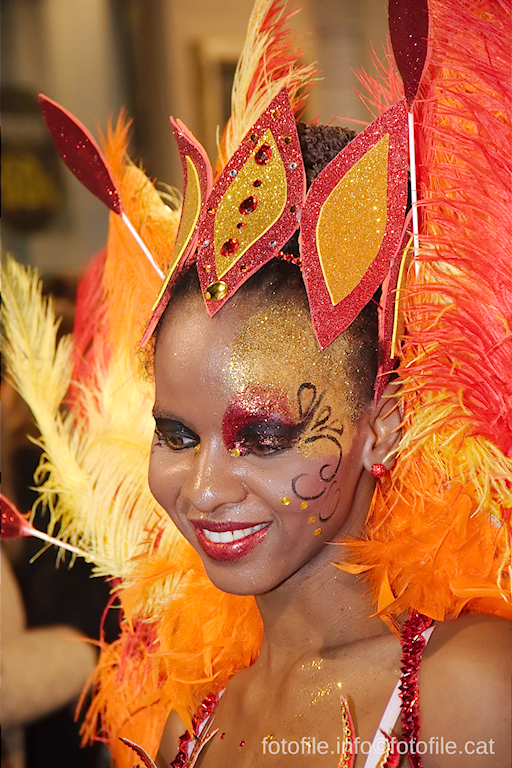 Carnaval 2015 Sitges - Rua de l'Extermini
Carnaval 2015 Sitges - Rua de l'Extermini
Keywords: Carnaval 2015 Sitges - Rua de l'Extermini