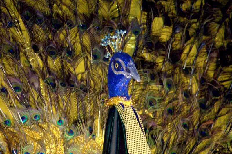 Carnaval 2012 Segur de Calafell
Carnaval 2012 Segur de Calafell. Nikon D50.
Keywords: Carnaval 2012 Segur de Calafell