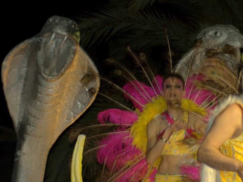 Carnaval 2012 Sitges
Carnaval 2012 Sitges. Nikon D50.
Keywords: Carnaval 2012 Sitges 