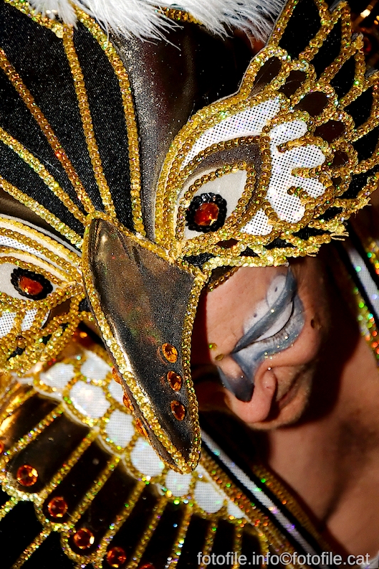 Carnaval 2013 Sitges
Carnaval 2013 Sitges
Keywords: Carnaval 2013 Sitges