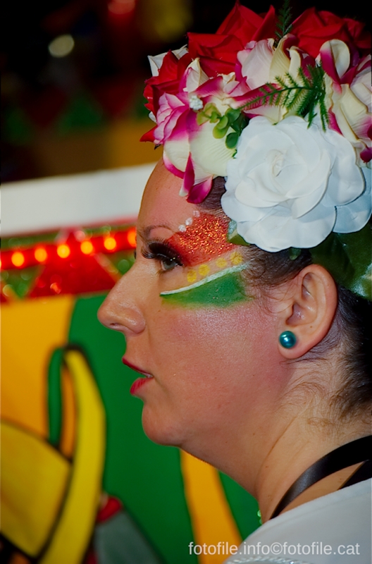 Carnaval 2014 Sitges Rua de la Disbauxa 
Carnaval 2014 Sitges Rua de la Disbauxa 
Keywords: Carnaval 2014 Sitges Rua de la Disbauxa 