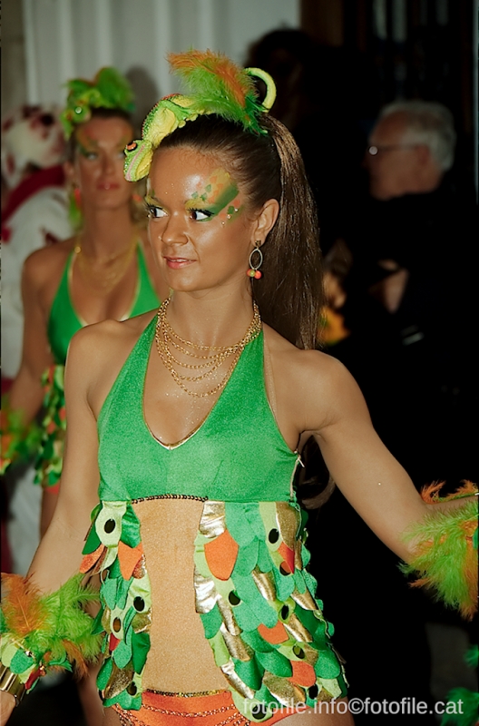 Carnaval 2014 Sitges - Rua de l'Extermini
Carnaval 2014 Sitges - Rua de l'Extermini
Keywords: Carnaval 2014 Sitges - Rua de l'Extermini