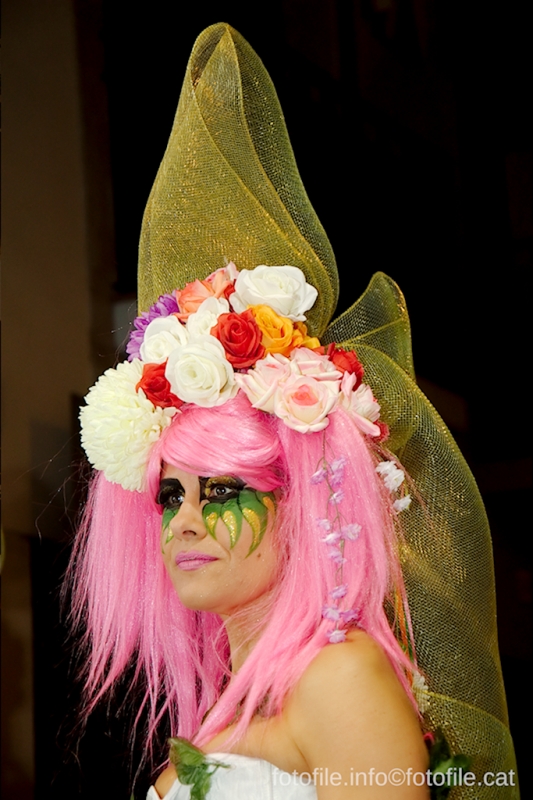 Carnaval 2014 Sitges - Rua de l'Extermini
Carnaval 2014 Sitges - Rua de l'Extermini
Keywords: Carnaval 2014 Sitges - Rua de l'Extermini