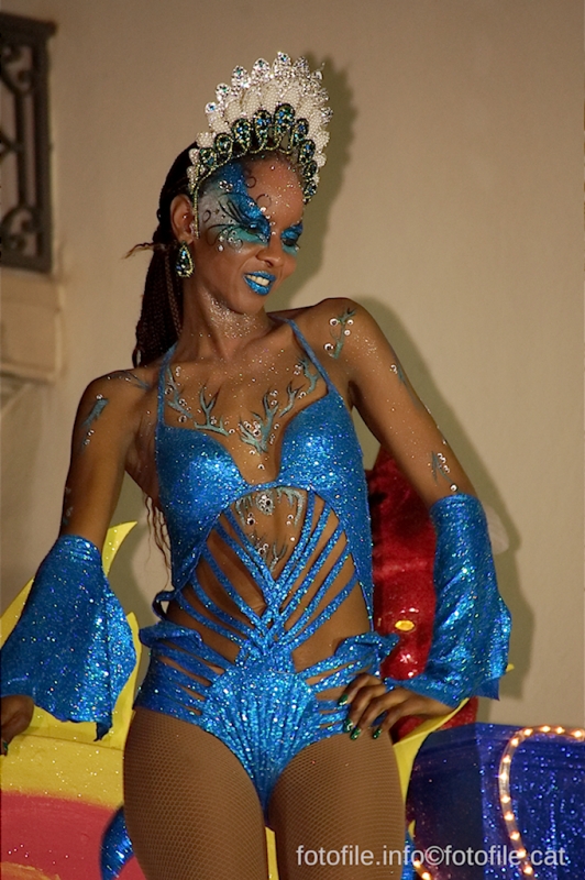 Carnaval 2014 Sitges - Rua de l'Extermini
Carnaval 2014 Sitges - Rua de l'Extermini
Keywords: Carnaval 2014 Sitges - Rua de l'Extermini