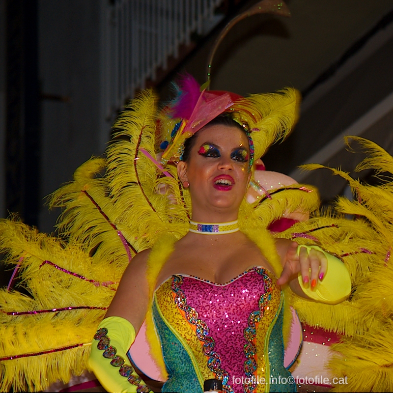 Carnaval 2016 Sitges - Rua de l'Extermini
Carnaval 2016 Sitges - Rua de l'Extermini
Keywords: Carnaval 2016 Sitges - Rua de l'Extermini