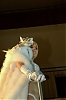 CarnavalSitges2012_1820.jpg