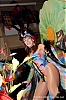 CarnavalSitges2014_4_0963_v2.jpg