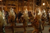 carnaval_vendrell0507.JPG