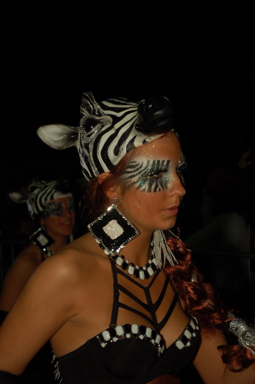 Carnaval 2010 Sitges Rua de l'extermini 
FOTOS SENSE PROCESSAR
Keywords: CARNAVAL SITGES 2010