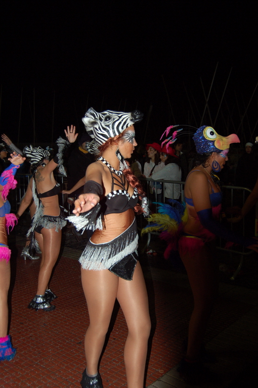 Carnaval 2010 Sitges Rua de l'extermini 
FOTOS SENSE PROCESSAR
Keywords: CARNAVAL SITGES 2010