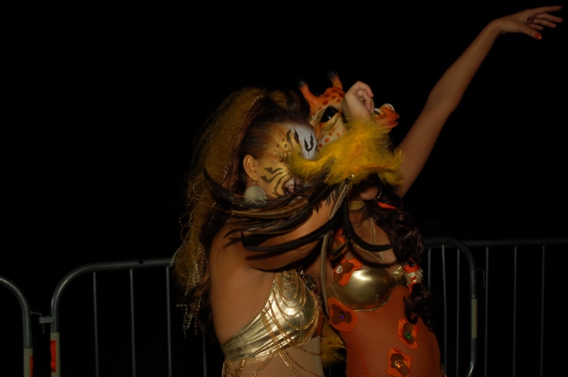 Carnaval 2010 Sitges Rua de l'extermini 
FOTOS SENSE PROCESSAR
Keywords: CARNAVAL SITGES 2010