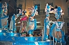 Carnaval_Sitges_2010_0502.JPG
