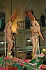 Carnaval_Sitges_2010_0866.JPG