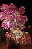 Carnaval_Sitges_2010_1029.JPG