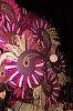 Carnaval_Sitges_2010_1031.JPG