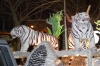 Carnaval_Vilafranca_2010_0342.JPG