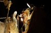 Carnaval_Vilafranca_2010_0430.JPG