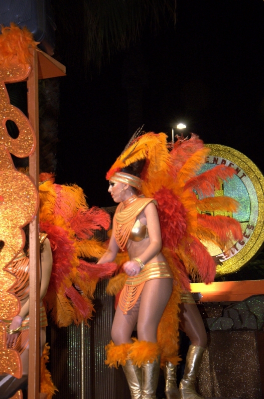 Carnaval Sitges 2011
Keywords: Carnaval Sitges 2011 Extermini