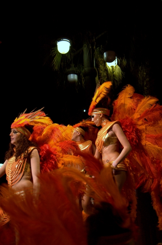 Carnaval Sitges 2011
Keywords: Carnaval Sitges 2011 Extermini