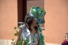 CarnavalMonjos2011_0381.jpg