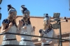 CarnavalMonjos2011_0514.jpg