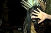 CarnavalSitges2011_0651.jpg