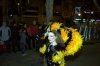 CarnavalVendrell2011_0261.JPG