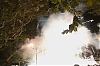 balldefoc2010_0325_web.jpg