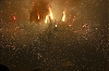 balldefoc2010_0499_web.jpg