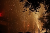 balldefoc2010_0569_web.jpg