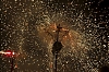 balldefoc2010_0635_web.jpg