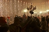 balldefoc2010_0715_web.jpg