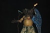 balldefoc2010_0749_web.jpg