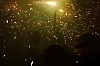 balldefoc2010_0771_web.jpg
