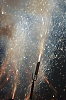 balldefoc2010_0788_web.jpg